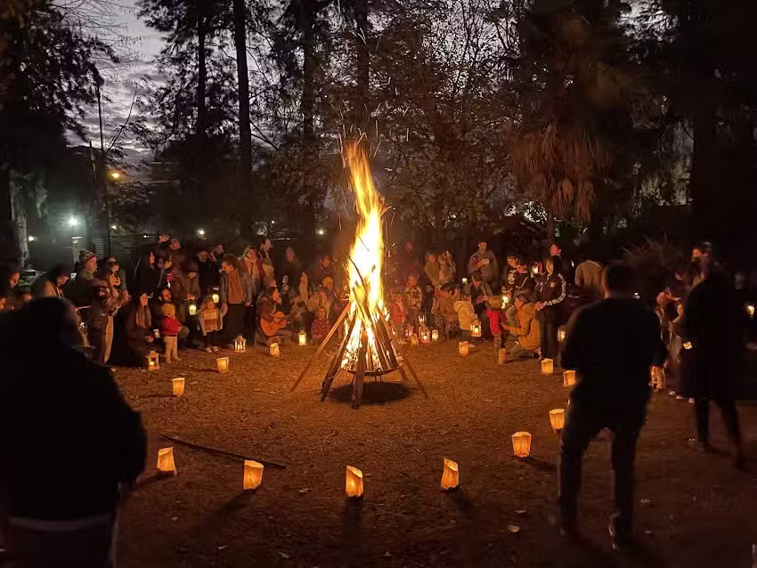 Escuela El Viejo Abedul