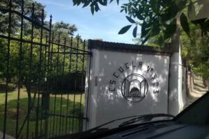 Escuela Especial 503