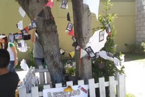 Escuela Especial alas