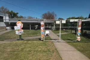 escuela especial cree