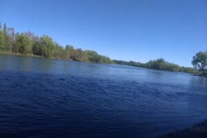 Escuela Especial N 21