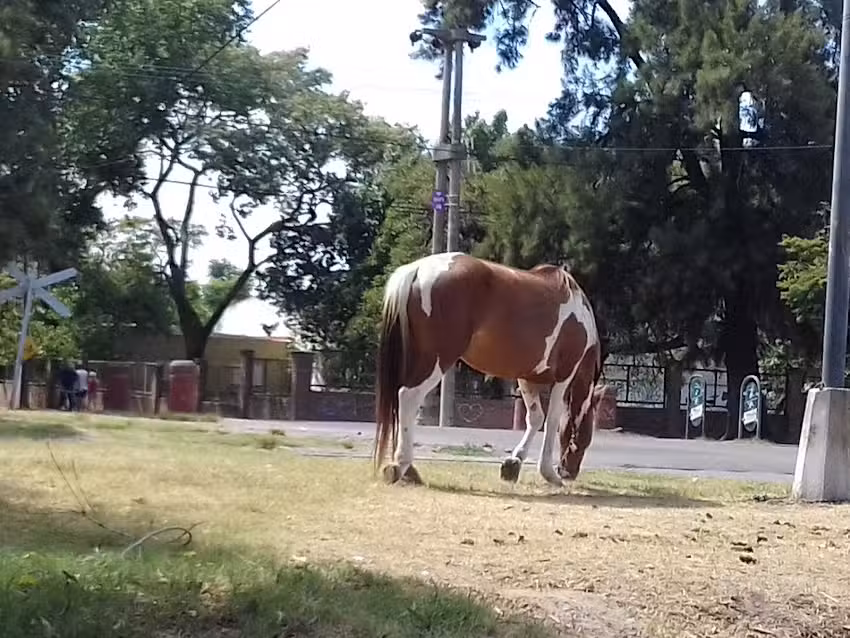 Escuela Especial No. 2083