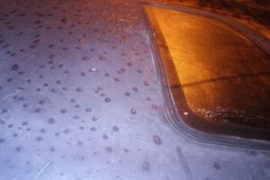 Escuela Especial Rosa Silvia Nocetti