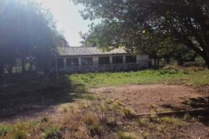 Escuela Fernando Fader