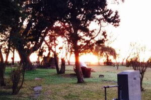 Escuela Inclusiva 55 BARTOLOM&Eacute; HIDALGO