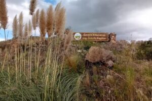 Escuela Ingeniero Arturo Pagliari