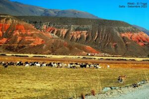 Escuela Jos&eacute; Hern&aacute;ndez ex 591