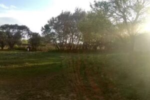 Escuela Leopoldo Diaz