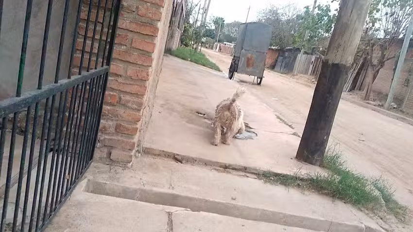 Escuela Marino Antonio de Echazu No 4176