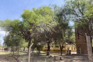 Escuela N 259 Los Robledo