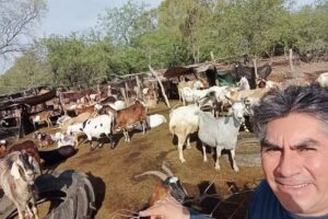 Escuela N &deg;796 Justo Jose de Urquiza