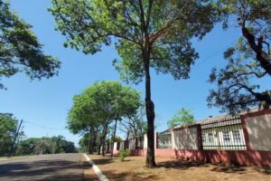 Escuela N74 Gendarmer&iacute;a Nacional