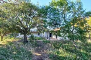 Escuela Nacional Primaria N&deg;92 (ex 104) &ndash; Tulio Gonzalez