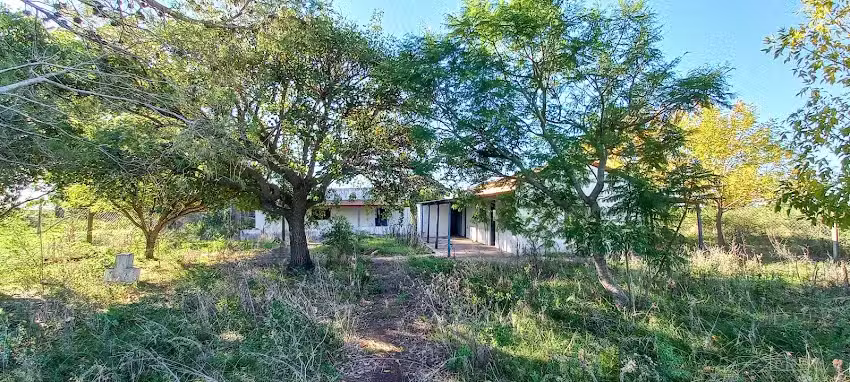 Escuela Nacional Primaria N&deg;92 (ex 104) &ndash; Tulio Gonzalez