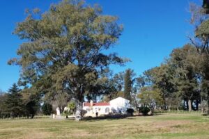 Escuela N&deg; 1292 Dr. Julio Maiztegui