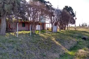 Escuela n&deg; 17 Ada Maria Elflein