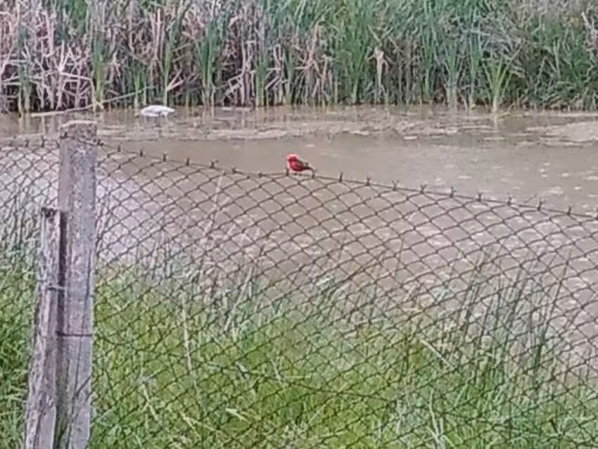 Escuela n&deg; 2 &ldquo;Nstra. Sra. de las Mercedes&rdquo;