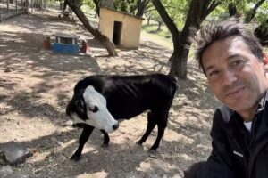 Escuela N&deg; 214 Dina Perea de Aparicio