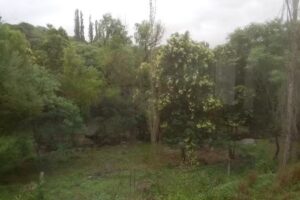 Escuela N° 247 Mariscal Sucre