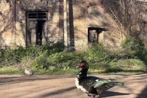 Escuela N&deg; 26 Ceferino Namuncura