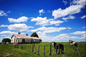 Escuela N° 26 Pje San Gregorio