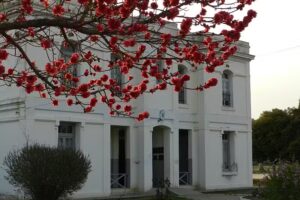 Escuela N° 28 “Augusto Bravard”