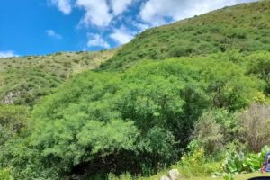 Escuela N&deg; 286 Santa Luc&iacute;a