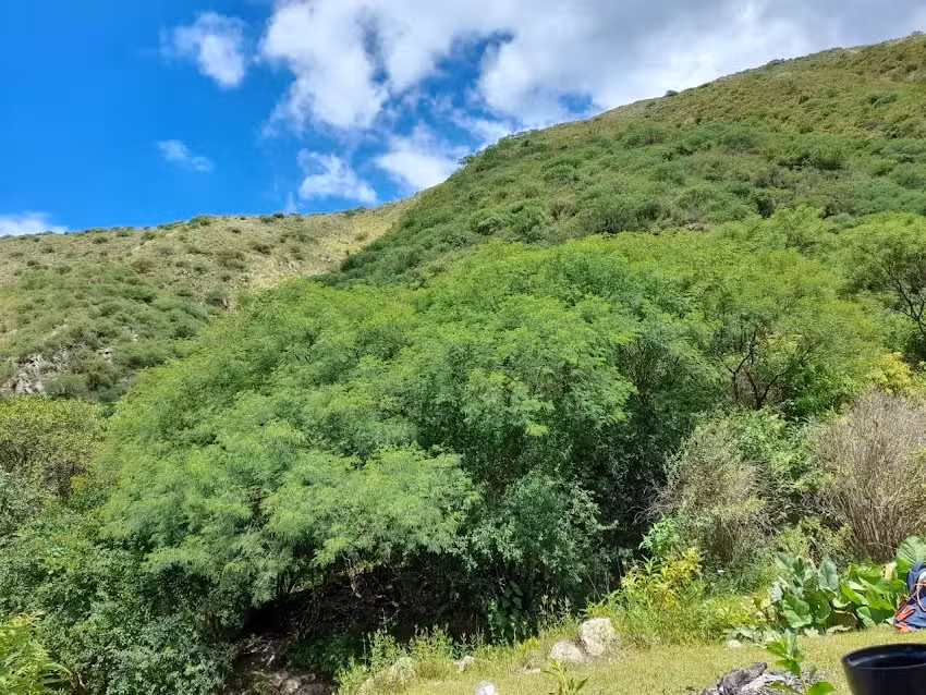 Escuela N&deg; 286 Santa Luc&iacute;a