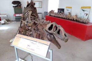 Escuela N&deg; 31 &ldquo;Rifleros del Chubut&rdquo;