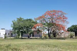 Escuela N&deg; 330 Paraje Libertad