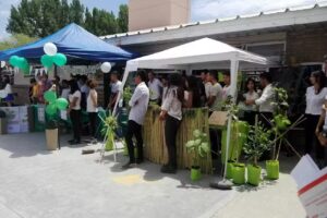 Escuela N&deg; 4025, Los Corralitos