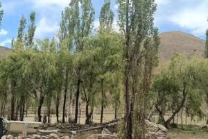 Escuela N&deg; 4270 &ndash; Los Cardones