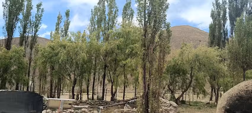 Escuela N&deg; 4270 &ndash; Los Cardones