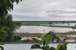 escuela N° 44 La Tosquera