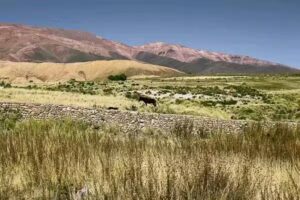 Escuela N&deg; 4422 &ldquo;Crucero ARA General Manuel Belgrano&rdquo;