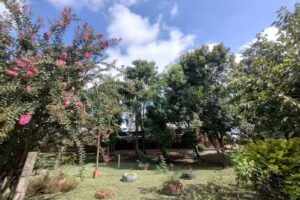 Escuela N&deg; 91 Provincia de Chubut