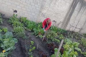 Escuela N° 94 Santa Catalina