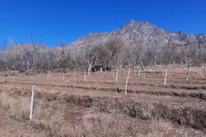 Escuela N&deg;066 Mtro. Antonio Osvaldo Vega