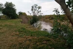 Escuela N&deg;1010 Justo Germ&aacute;n Berm&uacute;dez