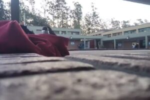 Escuela N&deg;123 &ldquo;Gral. Manuel Belgrano&rdquo;