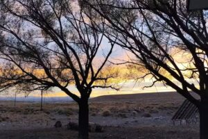 Escuela N°130 El Salitral