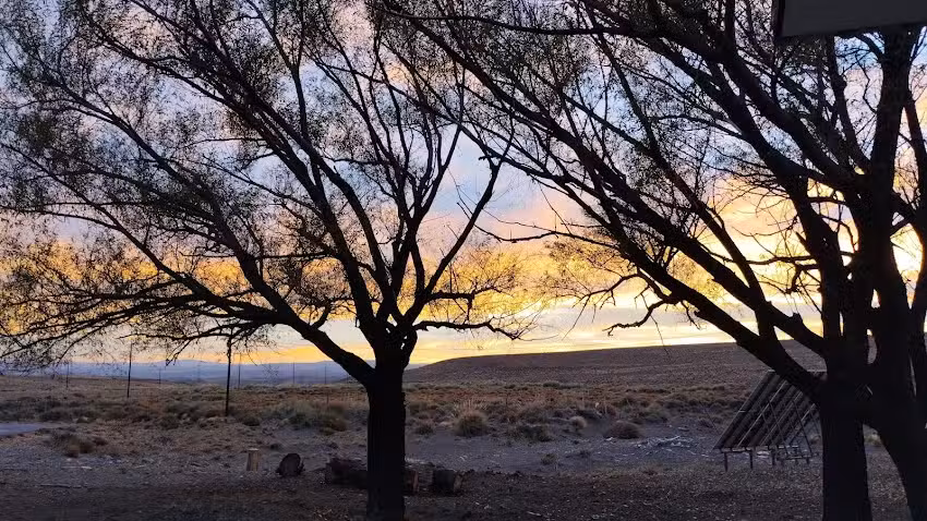 Escuela N&deg;130 El Salitral