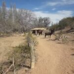 Escuela N&deg;133- El Durazno