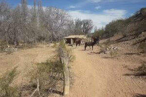 Escuela N&deg;133- El Durazno