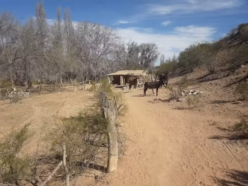 Escuela N&deg;133- El Durazno