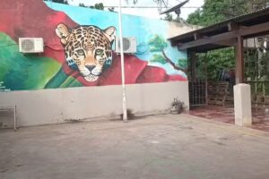 Escuela N°142 “Penti Rani Ñandeat”