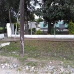 Escuela N&deg;197