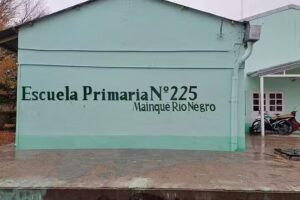 Escuela N&deg;225