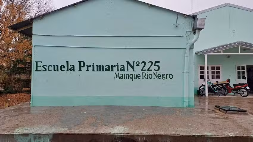 Escuela N&deg;225