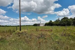 Escuela N&deg;29 Salvador Maria del Carril